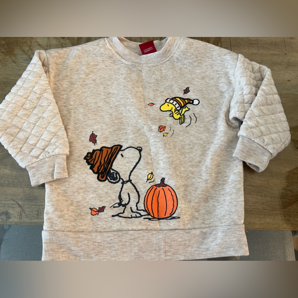 Snoopy peanuts quilted sweatshirt